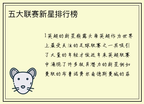 五大联赛新星排行榜